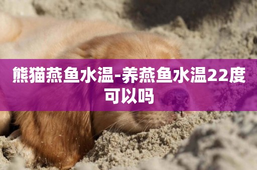 熊猫燕鱼水温-养燕鱼水温22度可以吗